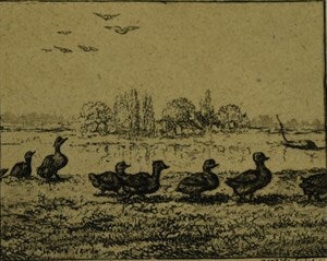 Image description is not available for DU1946.228.1